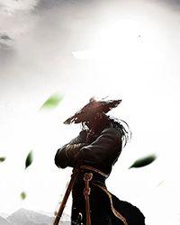 关于穿越成男配的