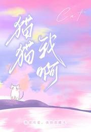 猫猫猫是什么歌曲