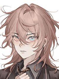 贵族男校文女主,但性别男